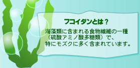 �t�R�C�_���Ƃ́H