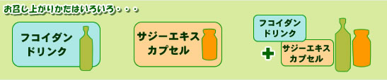 �t�R�C�_���h�����N �{ �T�W�[�G�L�X�J�v�Z��