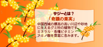 �T�W�[�Ƃ́H
